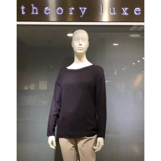 セオリーリュクス(Theory luxe)のtheory luxe ウォッシャブル ブラウス(シャツ/ブラウス(半袖/袖なし))