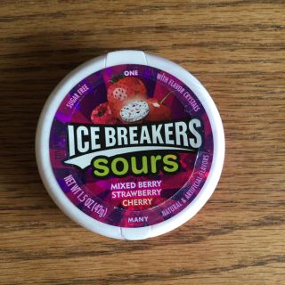 ICE BREAKERS (菓子/デザート)