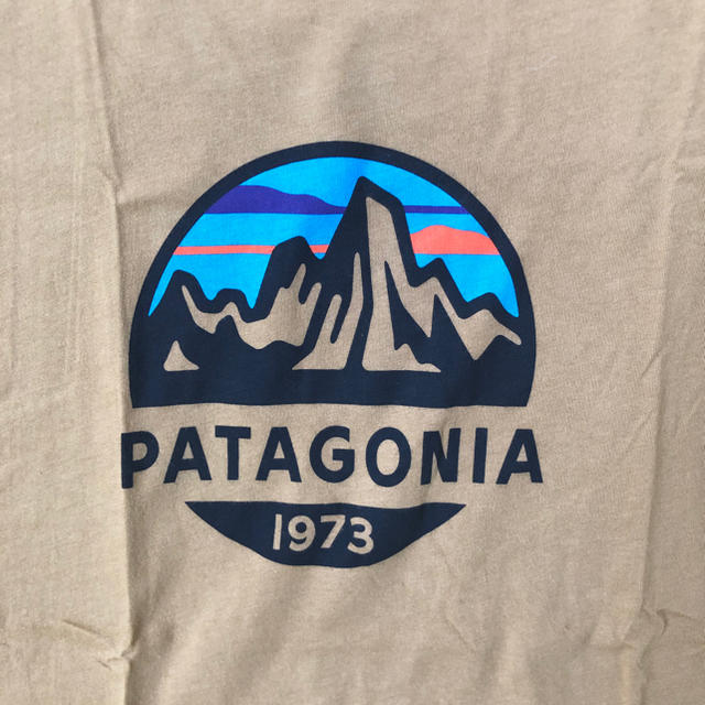 patagonia(パタゴニア)の新品未使用  パタゴニアTシャツ  XSサイズ メンズのトップス(Tシャツ/カットソー(半袖/袖なし))の商品写真
