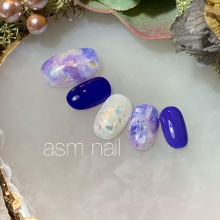 ネイルチップ ジェルネイル asmnail