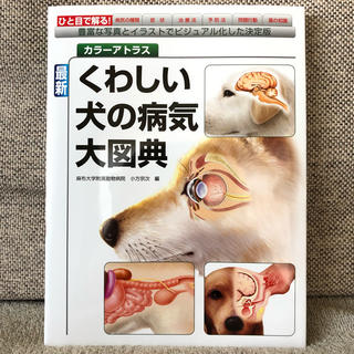くわしい犬の病気大図典(語学/参考書)