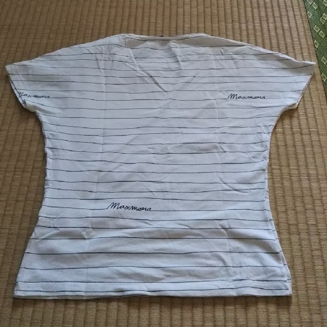 Max Mara(マックスマーラ)のTシャツ1枚 白に細線 レディースのトップス(Tシャツ(半袖/袖なし))の商品写真