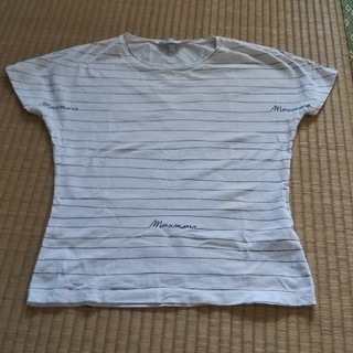 マックスマーラ(Max Mara)のTシャツ1枚 白に細線(Tシャツ(半袖/袖なし))