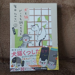コウダンシャ(講談社)の犬と猫どっちも飼ってると毎日たのしい3☆限定版(女性漫画)