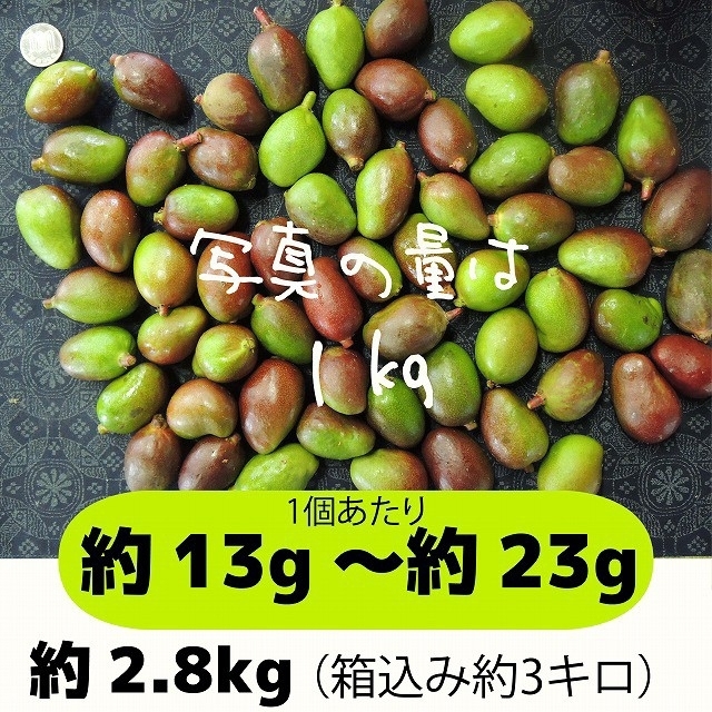 ［緑：3-1］約2.8キロ　グリーンマンゴー 青マンゴー　摘果マンゴー 食品/飲料/酒の食品(フルーツ)の商品写真