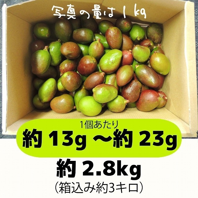［緑：3-1］約2.8キロ　グリーンマンゴー 青マンゴー　摘果マンゴー 食品/飲料/酒の食品(フルーツ)の商品写真