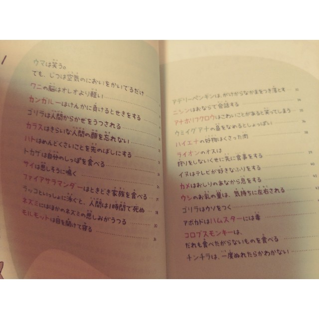 ダイヤモンド社(ダイヤモンドシャ)のせつない動物図鑑　 エンタメ/ホビーの本(絵本/児童書)の商品写真