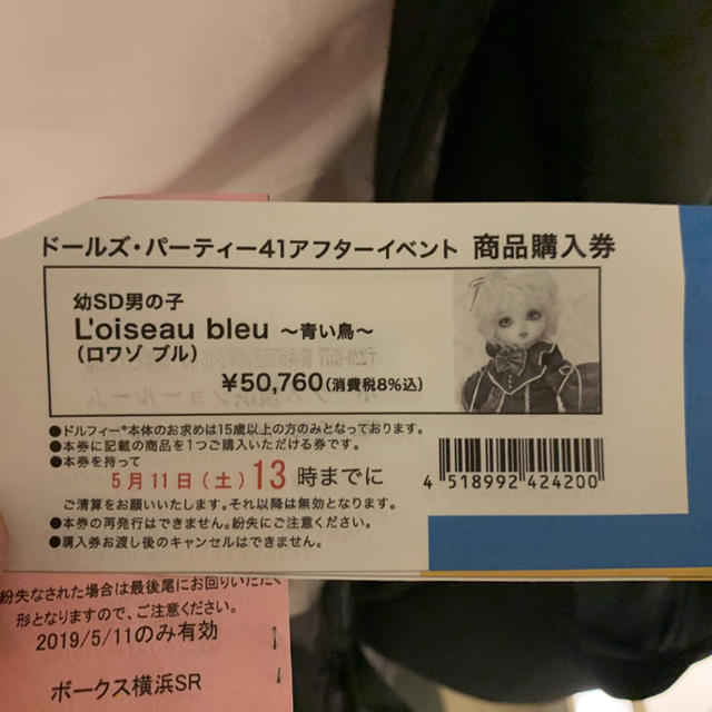 VOLKS(ボークス)のドルパ41 限定 幼SD男の子 ロワゾ ブル L'oiseau blue 青い鳥 ハンドメイドのぬいぐるみ/人形(人形)の商品写真