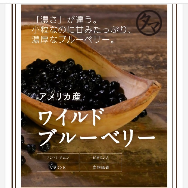 ワイルドブルーベリー 定価1,000円 タマチャンショップ 食品/飲料/酒の食品(フルーツ)の商品写真