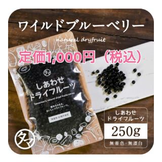 ワイルドブルーベリー 定価1,000円 タマチャンショップ(フルーツ)