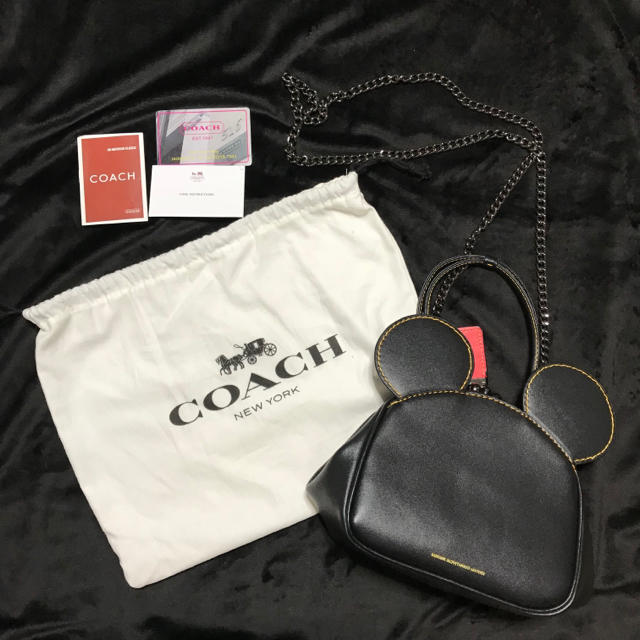 レディース美品 coach ディズニー コーチ ショルダー ポシェット ショルダーバッグ