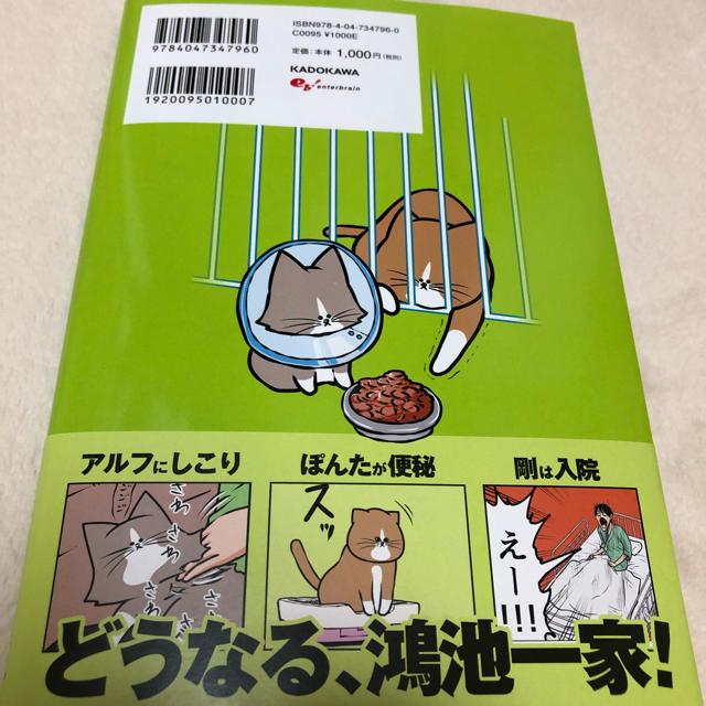 角川書店(カドカワショテン)の鴻池剛と猫のぽんたニャアアアン！3巻 エンタメ/ホビーの漫画(その他)の商品写真