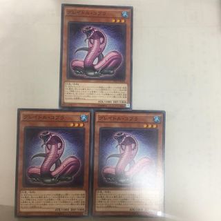 ユウギオウ(遊戯王)の遊戯王 グレイドルコブラ３枚セット(シングルカード)