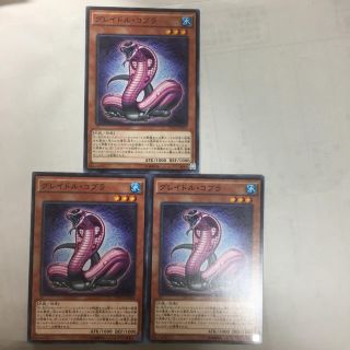 ユウギオウ(遊戯王)の遊戯王 グレイドルコブラ３枚セット(シングルカード)