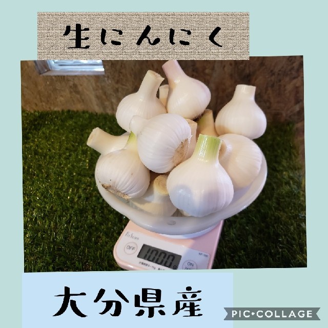 生にんにく1キロ◎【大分県産】 食品/飲料/酒の食品(野菜)の商品写真