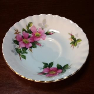 ロイヤルアルバート(ROYAL ALBERT)のロイヤルアルバート　ソーサ(食器)