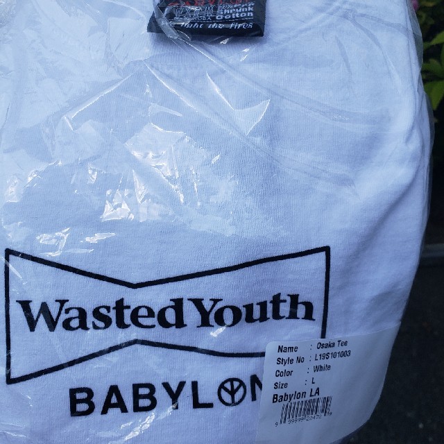 wasted youth Babylon