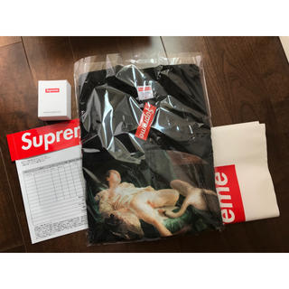 シュプリーム(Supreme)のSupreme Leda And The Swan Tee black 19ss(Tシャツ/カットソー(半袖/袖なし))