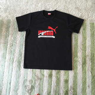 プーマ(PUMA)のお値下げ！プーマTシャツ150センチ(Tシャツ/カットソー)