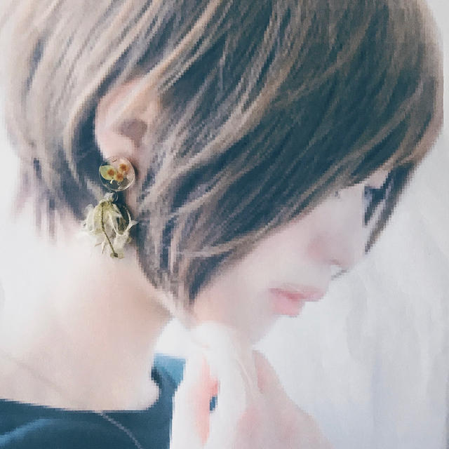 赤字超特価 ミモザ 紫陽花 ドライフラワー タッセル ピアス イヤリングの通販 by HA*RU's shop|ラクマ 驚きの安さ