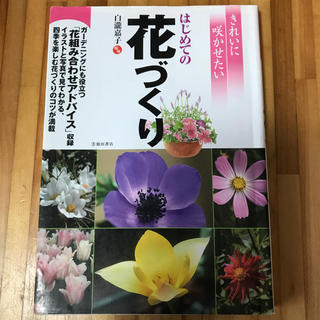 はじめての花づくり 白瀧嘉子(趣味/スポーツ/実用)