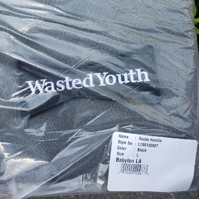 Wasted Youth Babylon hoodie L