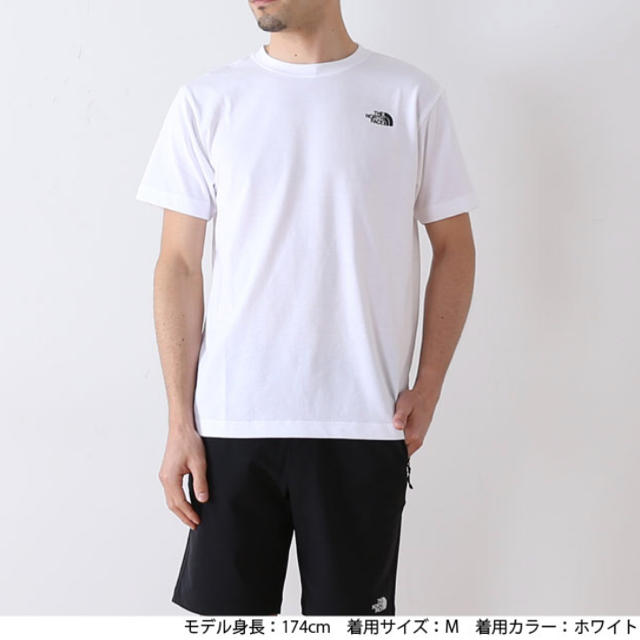 THE NORTH FACE(ザノースフェイス)の【新品】ザノースフェイス 半袖 Tシャツ Lサイズ ボックスロゴ メンズのトップス(Tシャツ/カットソー(半袖/袖なし))の商品写真