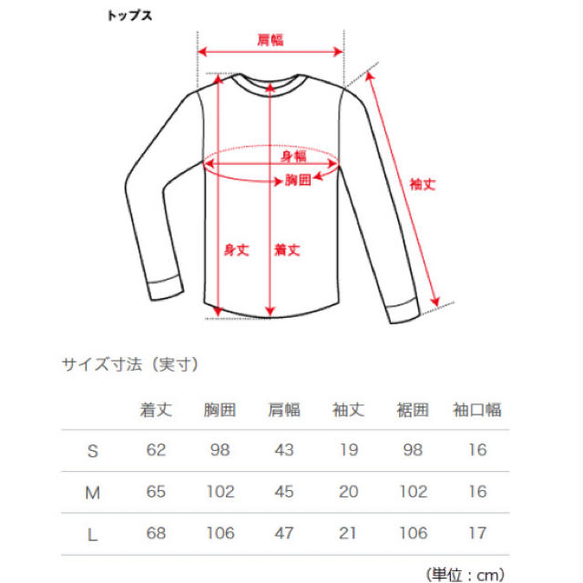 THE NORTH FACE(ザノースフェイス)の【新品】ザノースフェイス 半袖 Tシャツ Lサイズ ボックスロゴ メンズのトップス(Tシャツ/カットソー(半袖/袖なし))の商品写真