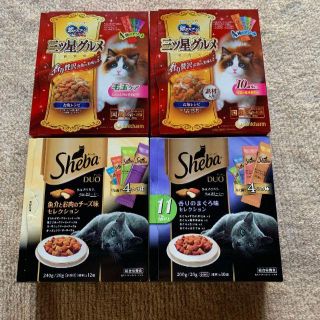 キャットフォード　4種(猫)