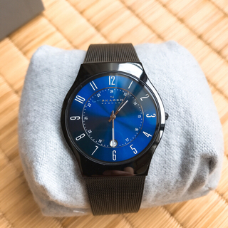 スカーゲン(SKAGEN)のスカーゲン 時計 メンズ T233XLTMN ブラック(腕時計(アナログ))