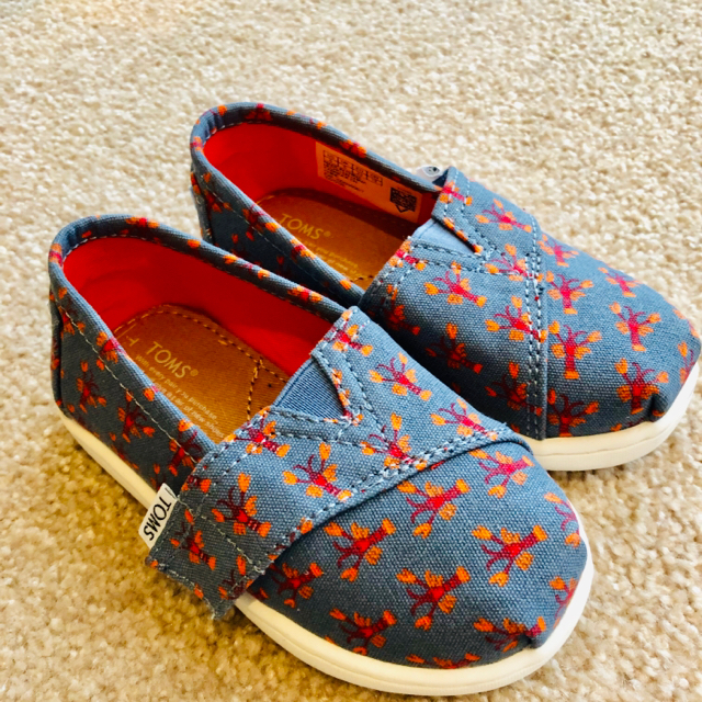 TOMS(トムズ)の【トッピー***様専用】新品 未使用！TOMS ベビーシューズ  T6 キッズ/ベビー/マタニティのベビー靴/シューズ(~14cm)(スリッポン)の商品写真