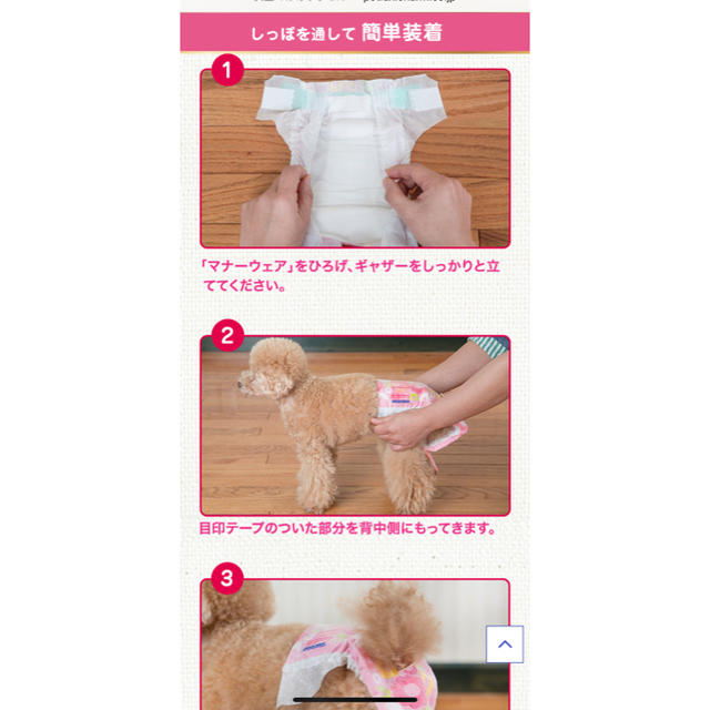 マナーウェア SSサイズ 女の子 その他のペット用品(犬)の商品写真