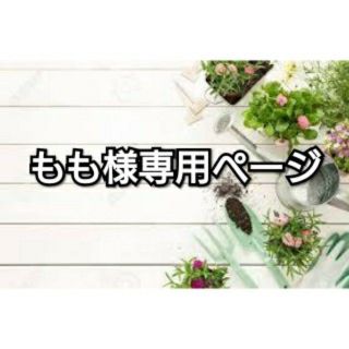 モリナガセイカ(森永製菓)の専用ページ   おいしいコラーゲンドリンク 22本(コラーゲン)