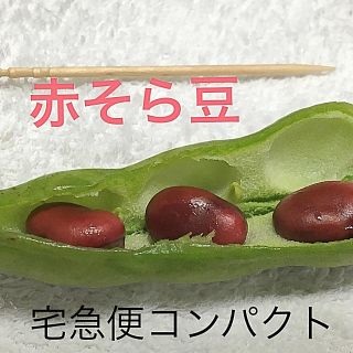 訳あり 赤そら豆1キロ☆(野菜)