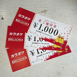 ビックエコー 優待券 3000円分 カラオケ BIGECHO (その他)