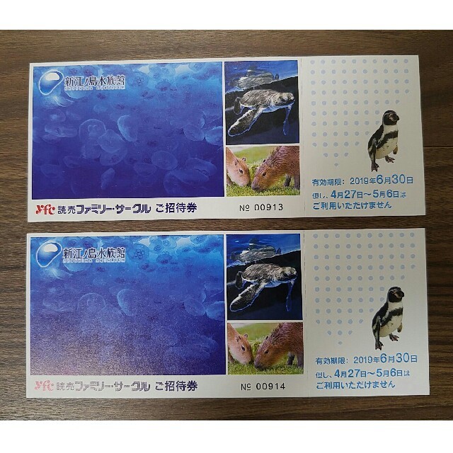 SALE／60%OFF】 新江ノ島水族館 招待券3枚組 ミニレター 除外日なし 31迄