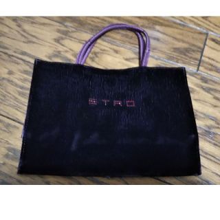 エトロ(ETRO)のエトロ ベロア バッグ(ハンドバッグ)