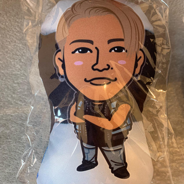 送料&加工料込 武知海青 クッション | www.kdcow.com