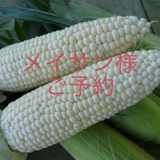 メイサン様 ホワイトショコラ(野菜)