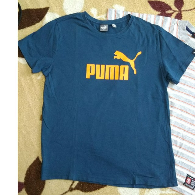 PUMA(プーマ)のPUMAと、lottoのセット キッズ/ベビー/マタニティのキッズ服男の子用(90cm~)(Tシャツ/カットソー)の商品写真