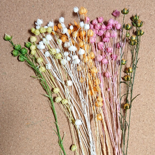リンフラワー花材⑤ ハンドメイドのフラワー/ガーデン(ドライフラワー)の商品写真