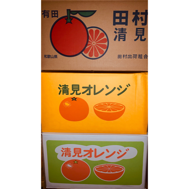 和歌山県 訳あり傷あり清見オレンジ約10kg 食品/飲料/酒の食品(フルーツ)の商品写真