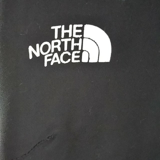 ザノースフェイス(THE NORTH FACE)のTHE NORTH FACE ザ ノースフェイスアルパインパンツ(登山用品)