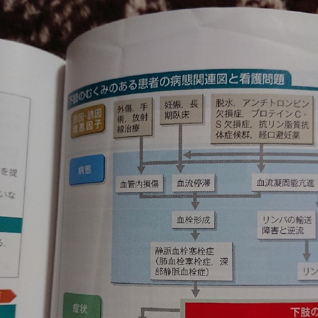 せれせれ さま専用 緊急度・重症度からみた 症状別看護過程+病態関連図 医学書院