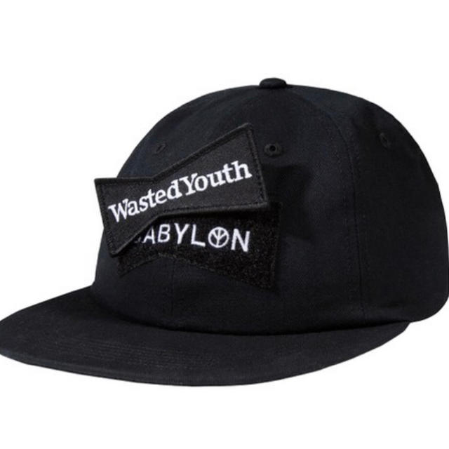 wasted  youth   cap