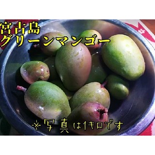 宮古島産　グリーンマンゴー　1キロ(野菜)
