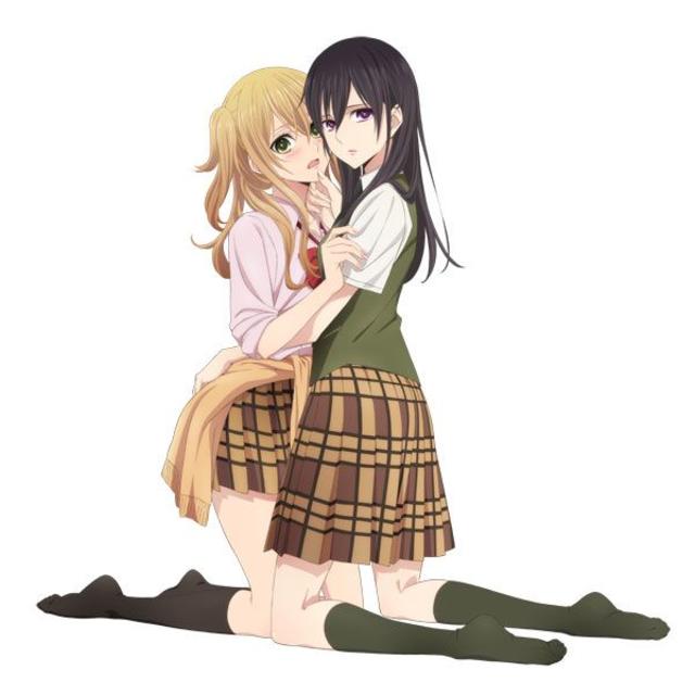 学研(ガッケン)の新品未開封 citrus 制服柄ブランケット 送料込み エンタメ/ホビーのアニメグッズ(その他)の商品写真