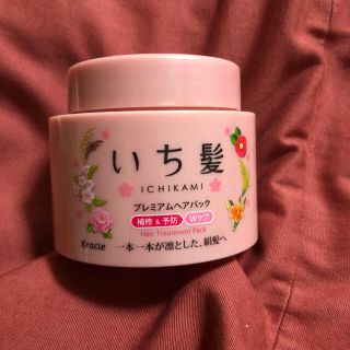 イチカミ(いち髪)のいち髪 プレミアムヘアP補修&予防Wケア 180g(ヘアケア)