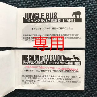 ミルクパウダー様専用     大分 アフリカンサファリ  クーポン(動物園)