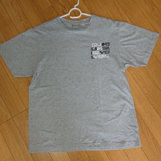 クイックシルバー(QUIKSILVER)のQUIKSILVER Tシャツ(M)(Tシャツ/カットソー(半袖/袖なし))